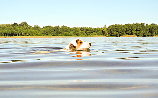 Woda w mazurskich jeziorach ciepła jak nigdy. Sprawdź, gdzie temperatura jest najwyższa